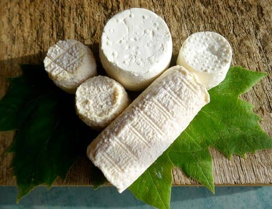 chevre 1